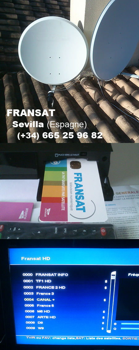 Receptor decodificador de satélite HD Astra N° 1 + tarjeta TNTSAT V6  canales TNT franceses (no se garantiza que esté disponible en todos los  países) : : Electrónica
